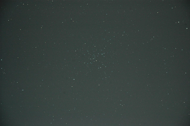 M41 durch Orion80ED - Bild von A. Kerste